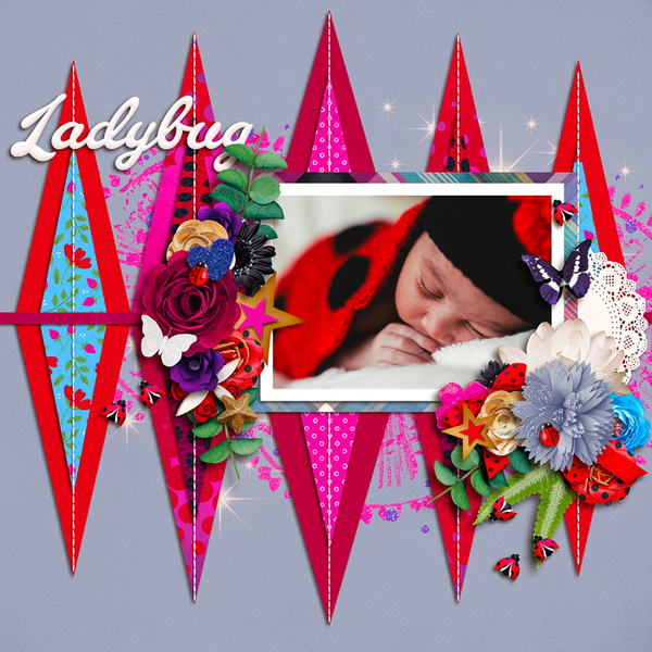 Ladybug