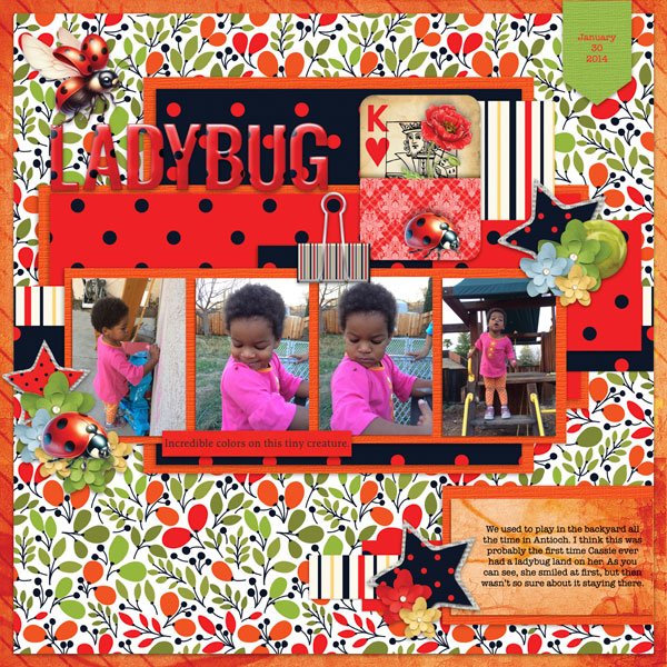Ladybug