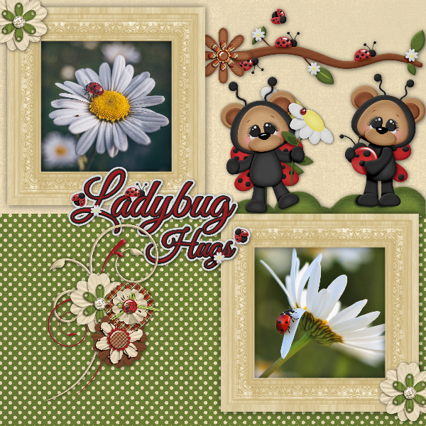 Ladybug1