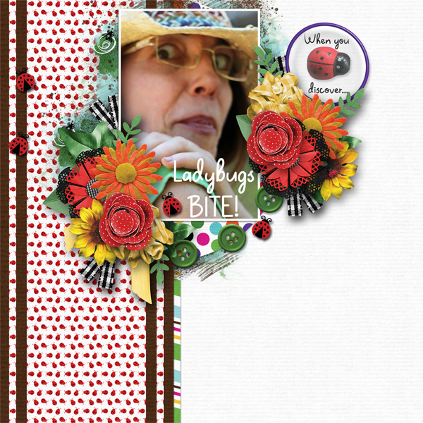 Ladybugs Bite