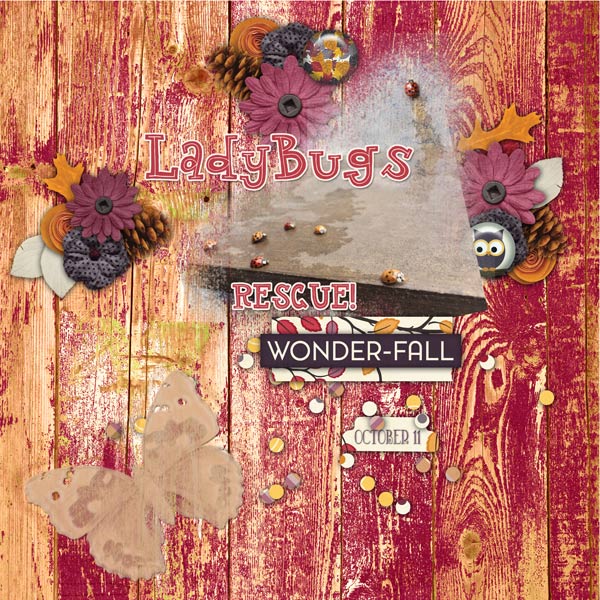 Ladybugs Rescue