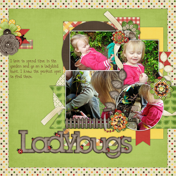 ladybugs