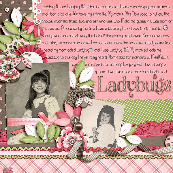Ladybugs