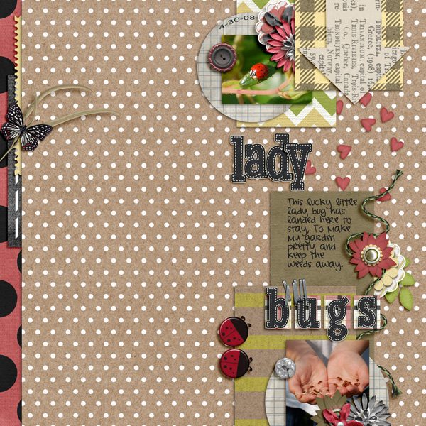 ladybugs1