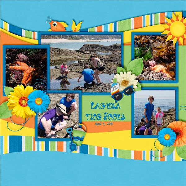Laguna Tide Pools