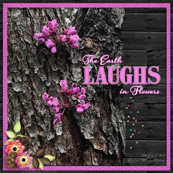 Laguna Woods Flowers