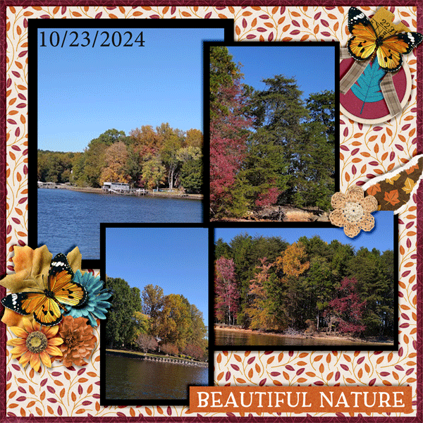 Lake Colors