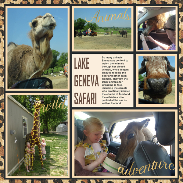 Lake Geneva Safari