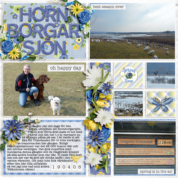 Lake Hornborgaren