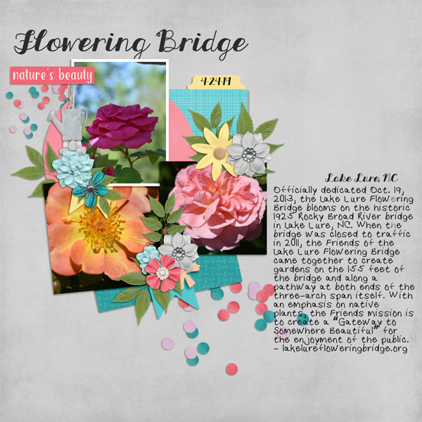 Lake Lure Flowering Bridge 1