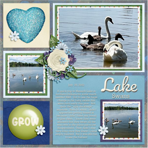 Lake Swans