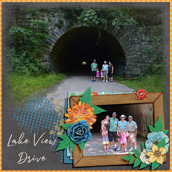 Lake View Drive 1