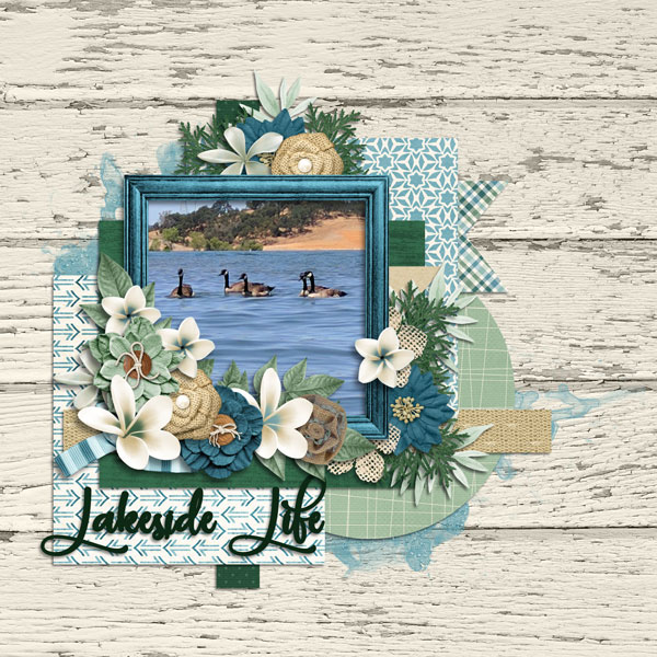 Lakeside Life