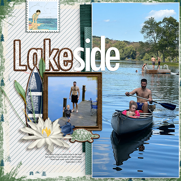 Lakeside Turtles