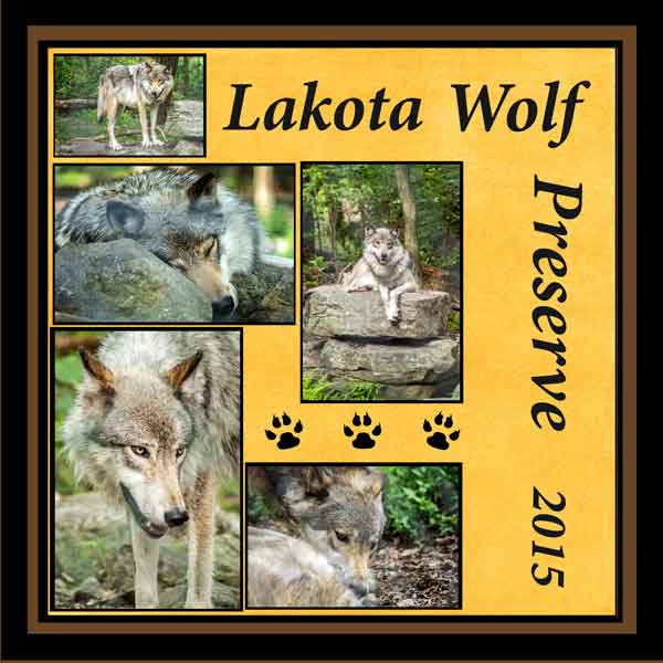 Lakota Wolf Preserve 2015