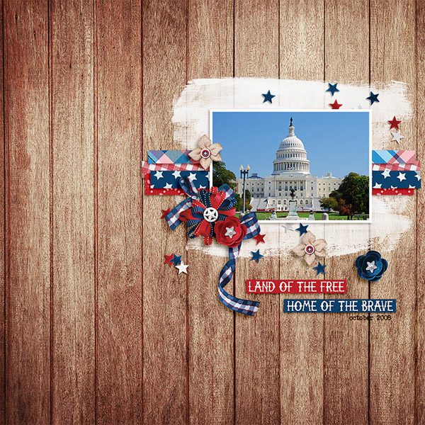 land of the free