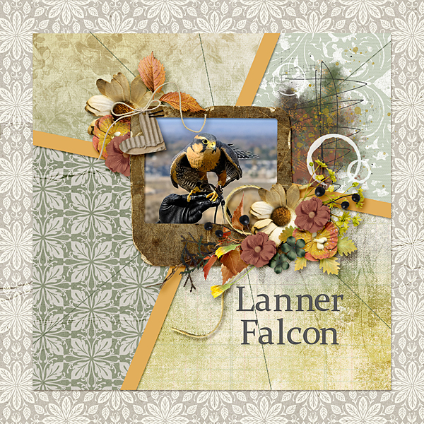 Lanner Falcon