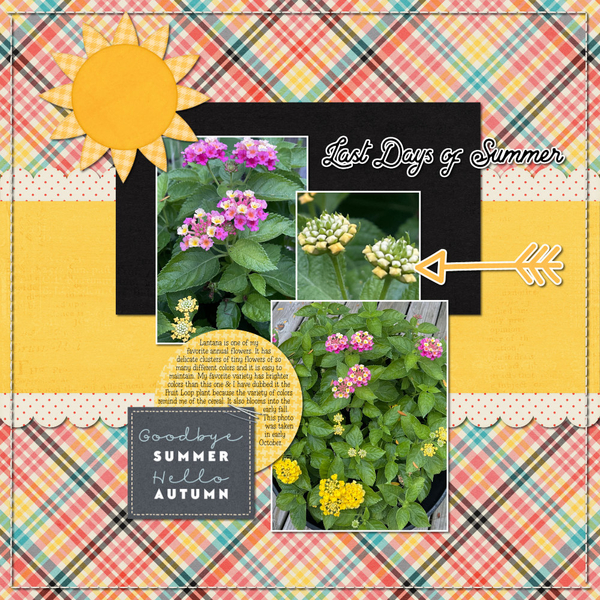 Lantana 10-5-23