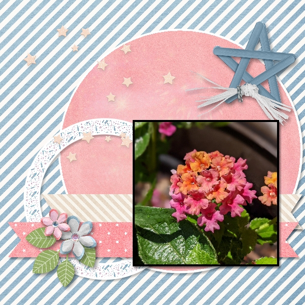 Lantana - Use It All Challenge July 2021