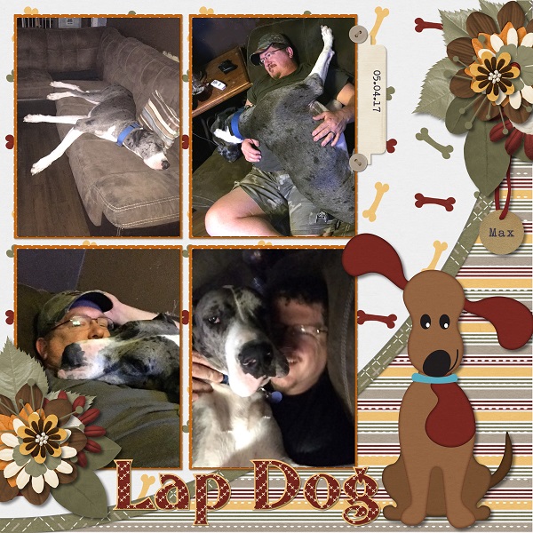 Lap Dog