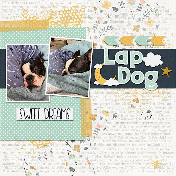Lap Dog