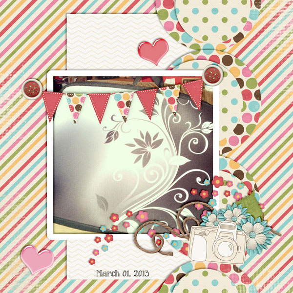 Laptop Bag