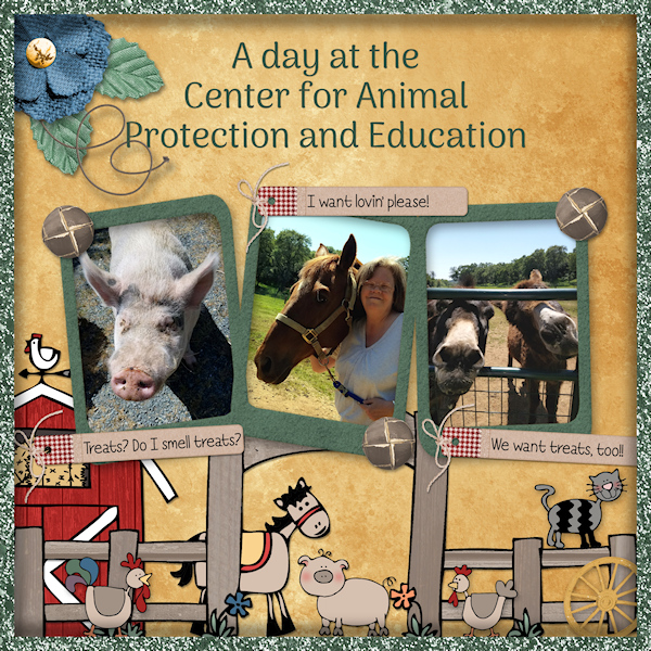 Large Animal Therapy