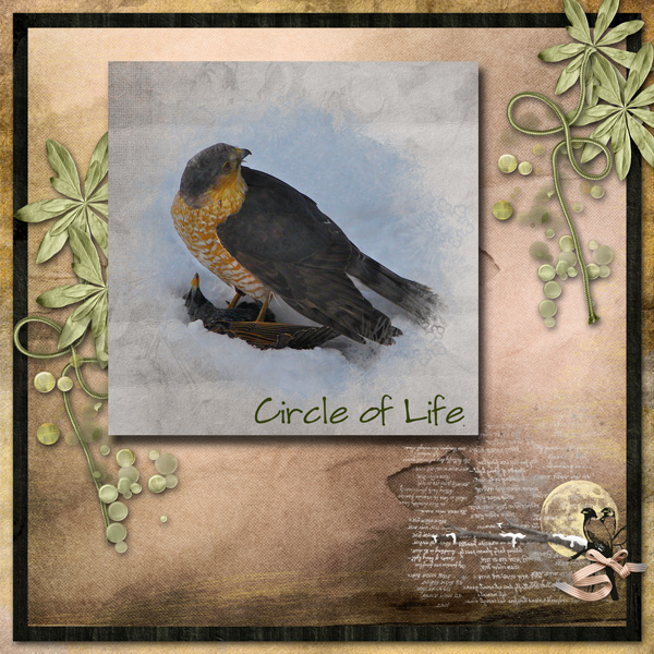 Last half Feb 2013 Template Challenge