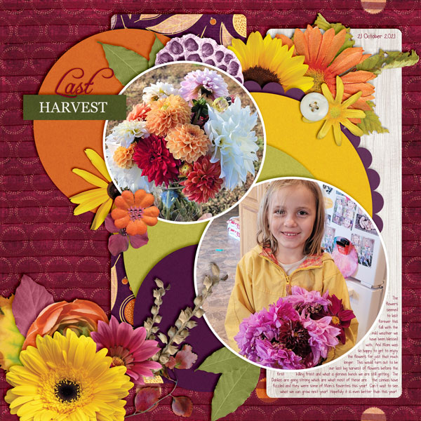 Last Harvest