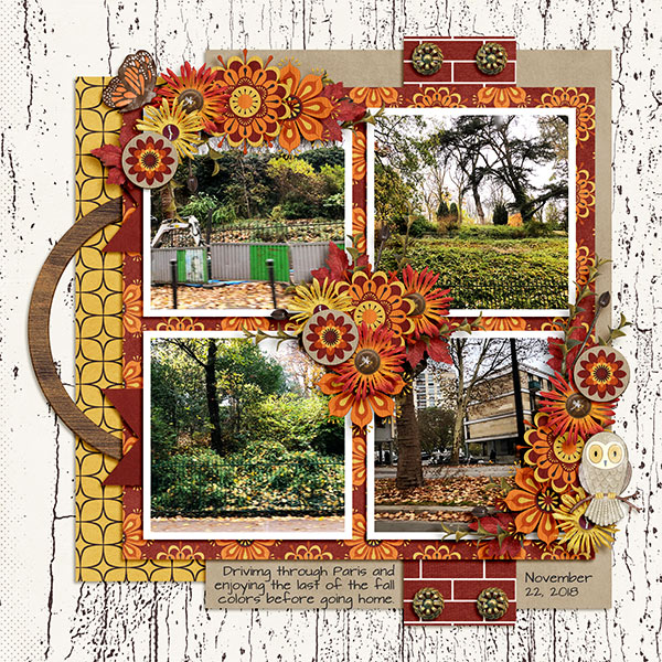 Last of Fall