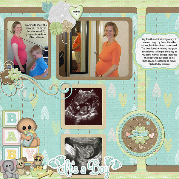 Last Pregnancy