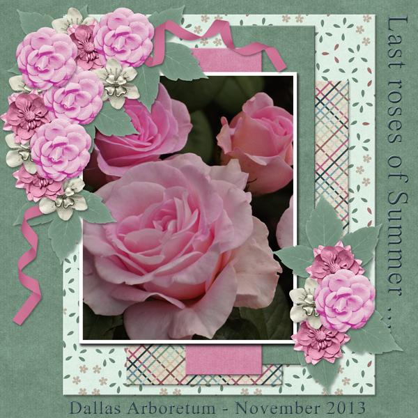 Last roses of Summer