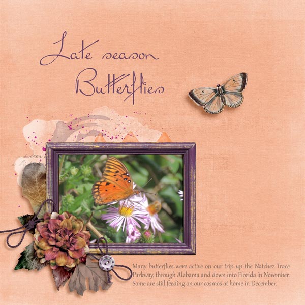 Late Season Butterflies