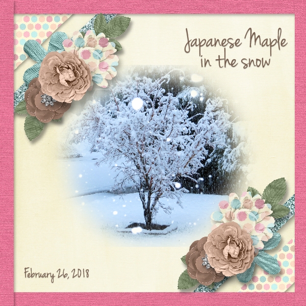 Late Winter Snow