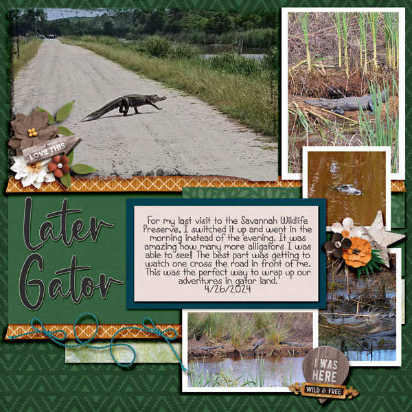 Later Gator