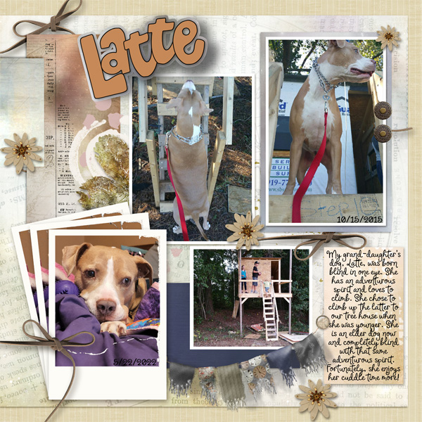 Latte