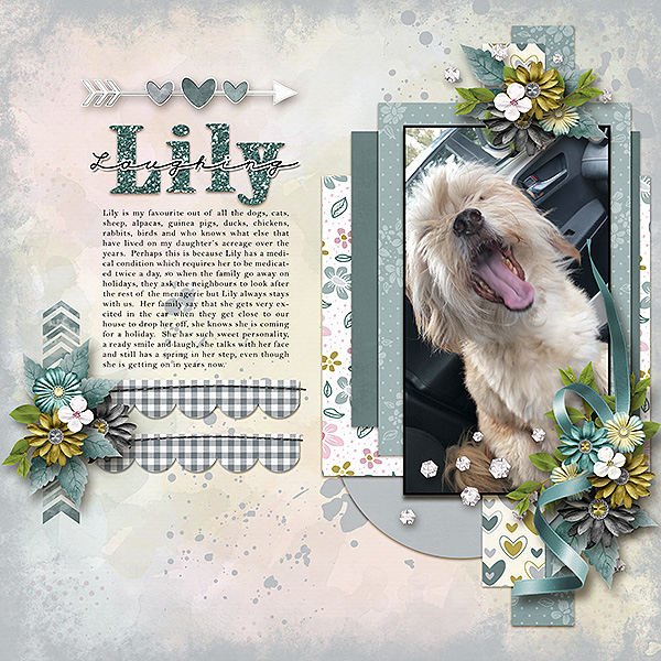 Laughing Lily