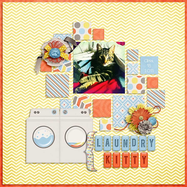 laundry cat