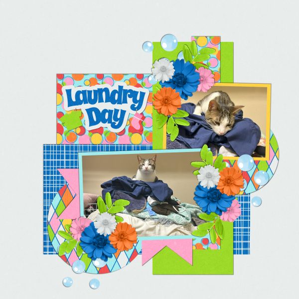 Laundry Day