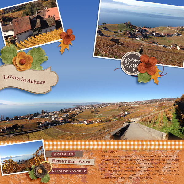 Lavaux in Autumn