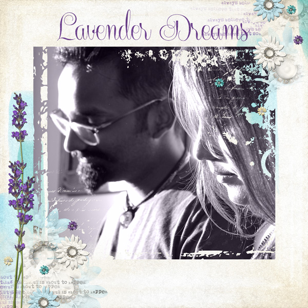 Lavender Dreams