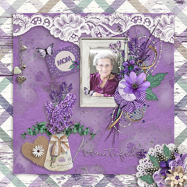 Lavender Dreams