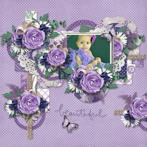 Lavender dreams