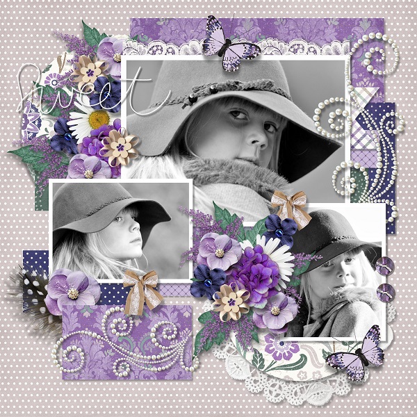 Lavender dreams