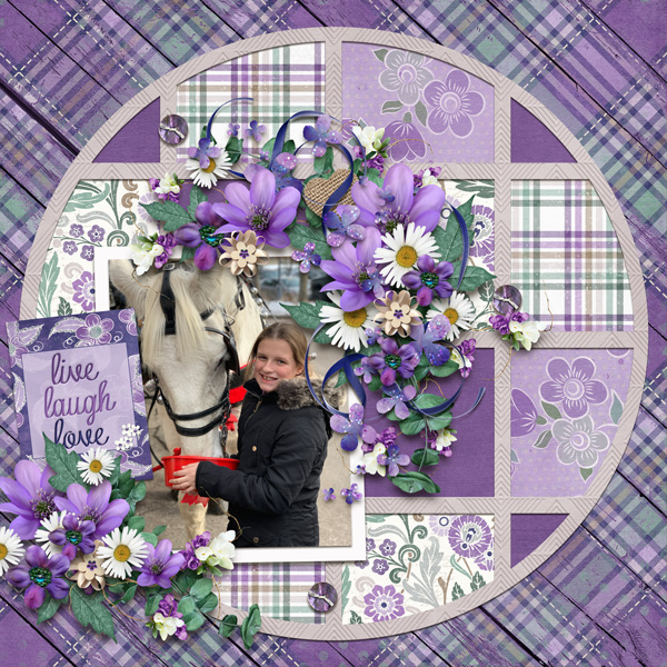 Lavender Dreams