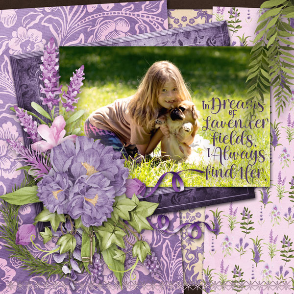 Lavender dreams