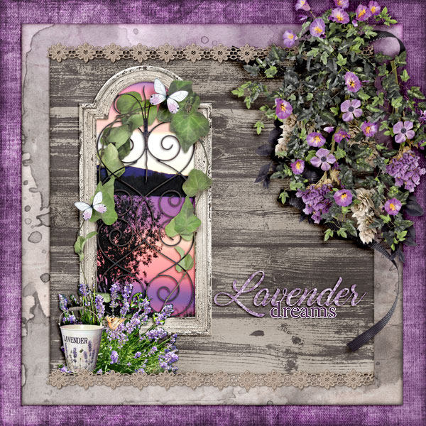 Lavender-dreams1