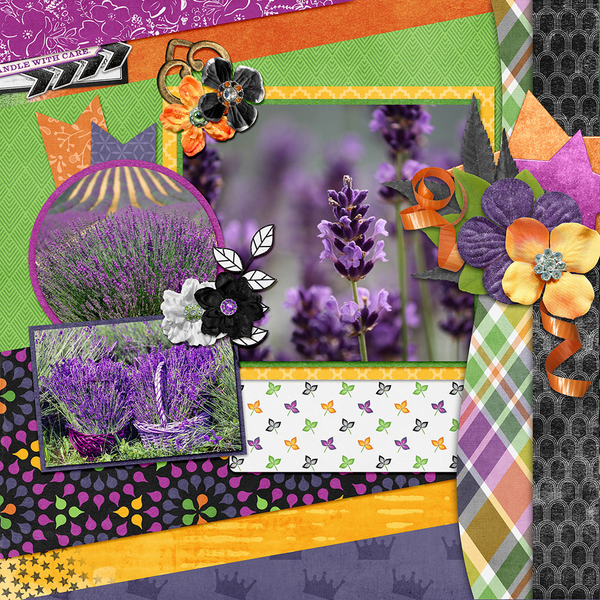 Lavender Farm