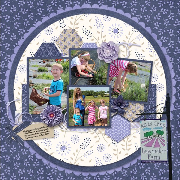Lavender Farm
