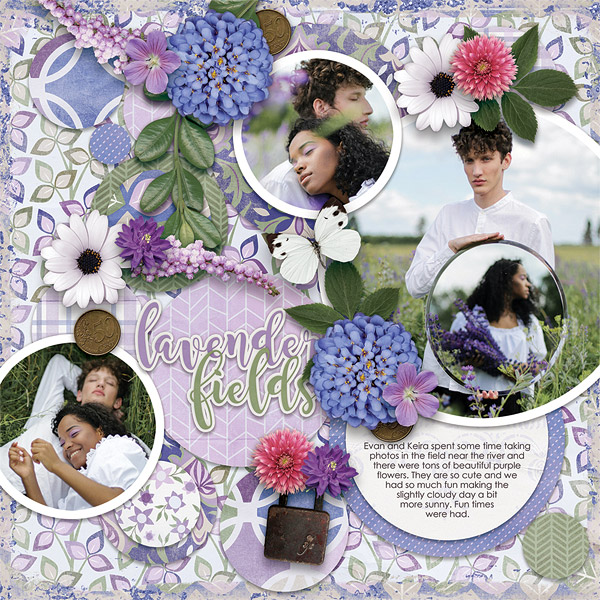 Lavender Fields